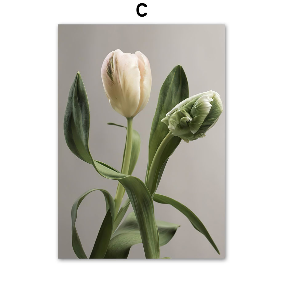 Tulips Abstract Roses Wall Art