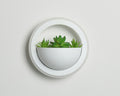 Modern Circular Wall Light